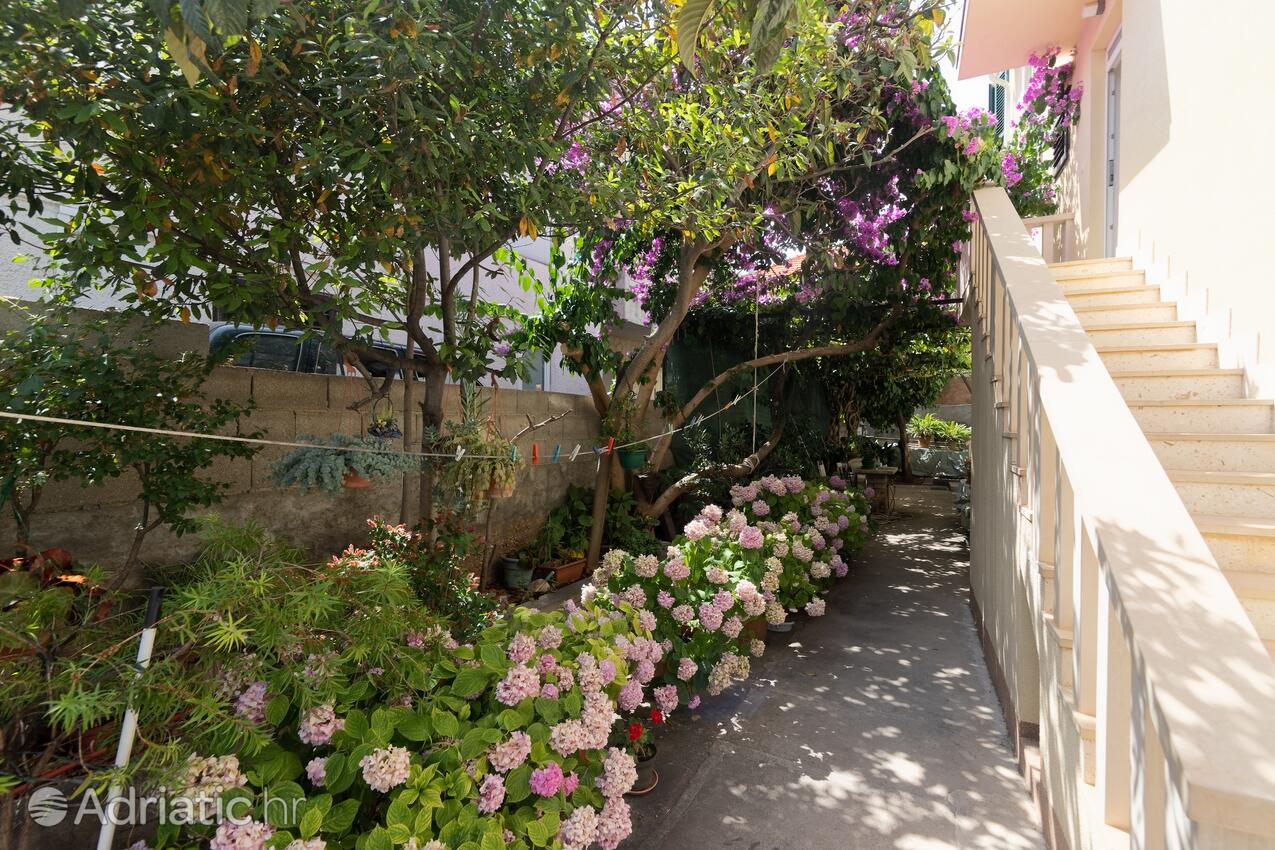 Giardino - Appartamenti con parcheggio San Pietro di Brazza - Supetar, Brazza - Brač