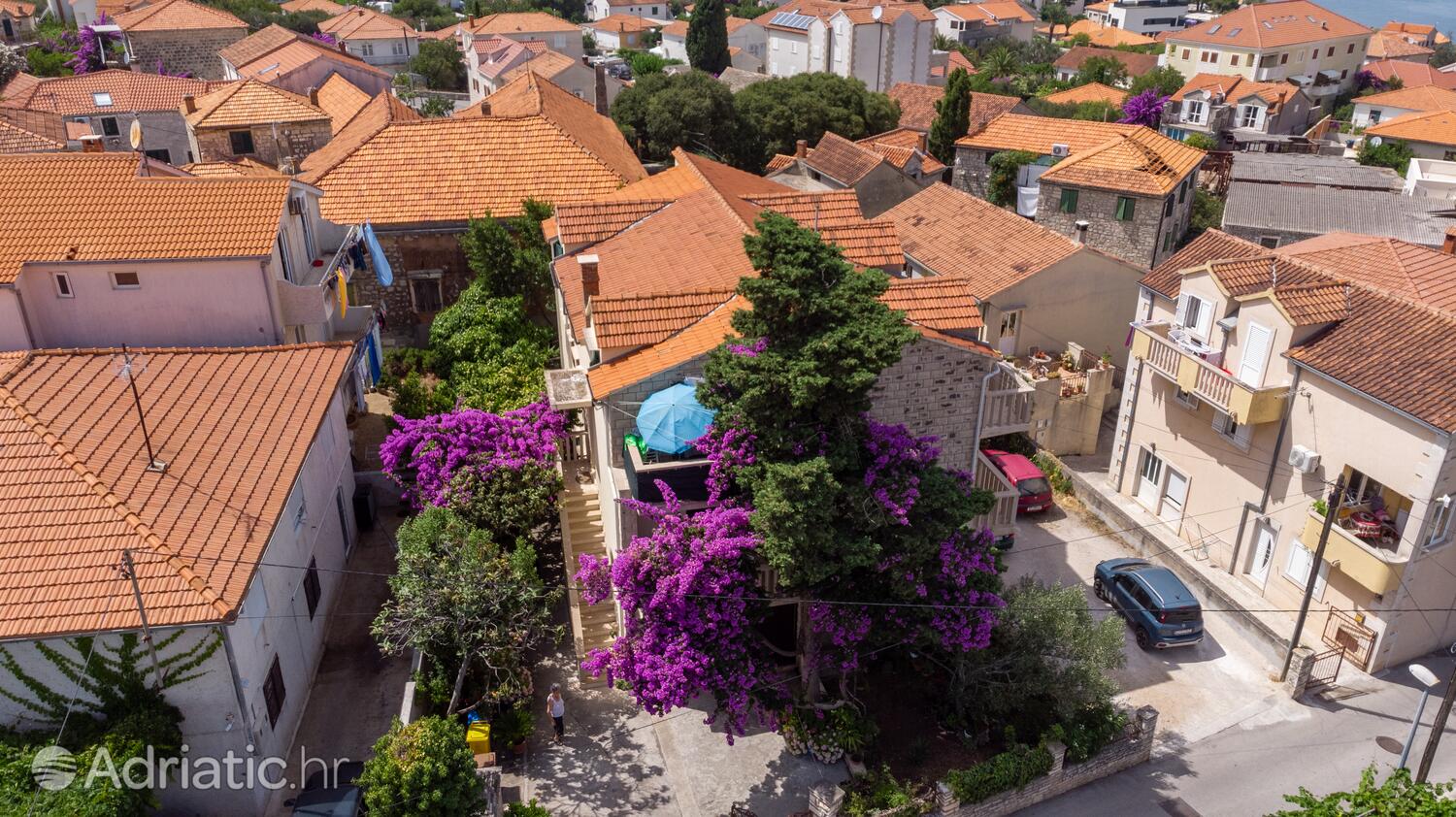 Alloggio - Appartamenti con parcheggio San Pietro di Brazza - Supetar, Brazza - Brač