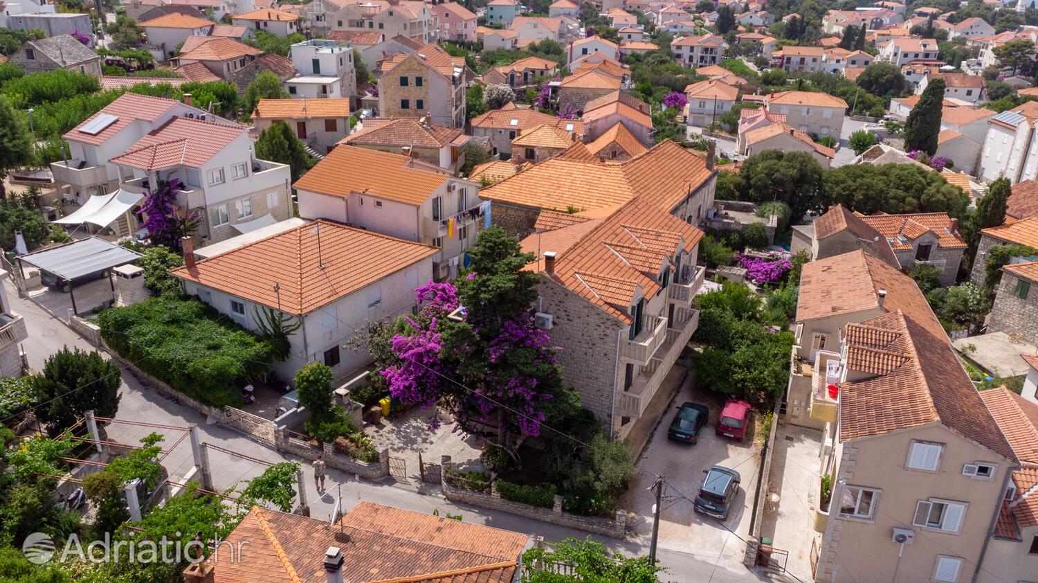 Alloggio - Appartamenti con parcheggio San Pietro di Brazza - Supetar, Brazza - Brač
