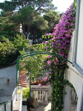 Apartments by the sea Jadrija, Šibenik - 11356