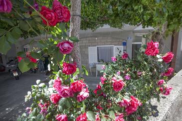 Appartamenti accanto al mare Tucepi, Macarsca - Makarska - 11486