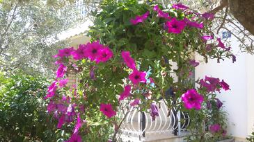 Apartmanok parkolóhellyel Umag - 11488