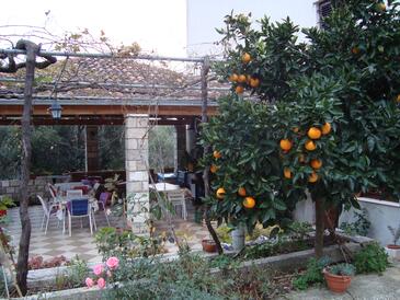 Apartments by the sea Slađenovići, Dubrovnik - 11531