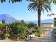 Apartmanok Podaca (Makarska) - 11588
