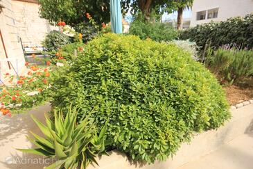 Апартаменти біля моря Віс - Vis - 1170