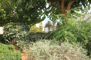 Apartamentos junto al mar Vis - 1170