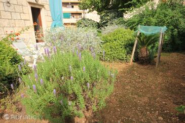 Apartmány pri mori Vis - 1170