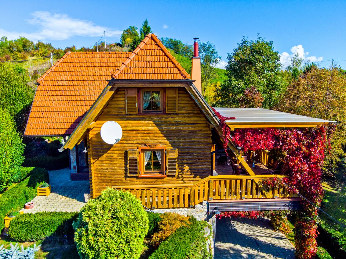 Family friendly house with a swimming pool Gornja Voća, Zagorje - 11873