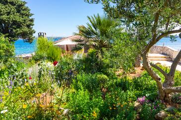 Apartments with terrace Tkon, North Dalmatia