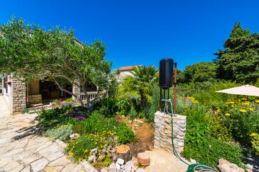 Apartments with terrace Tkon, North Dalmatia