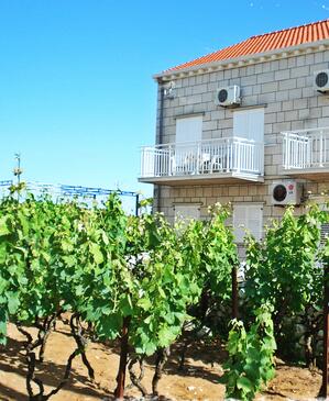 Apartmány u moře Lumbarda, Korčula - 12839