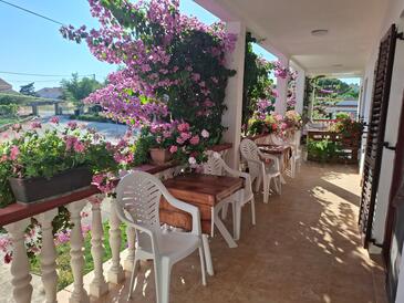 Jednosobni apartman Privlaka, Zadar (A-12985-b(