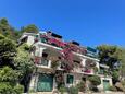 Apartmani Zaklopatica (Lastovo) - 13214