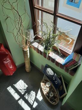 Apartments by the sea Cres - 13312