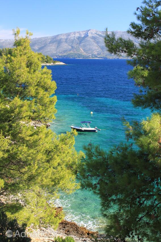 A-135-a - Private accommodation - Apartments by the sea Lumbarda, Korčula