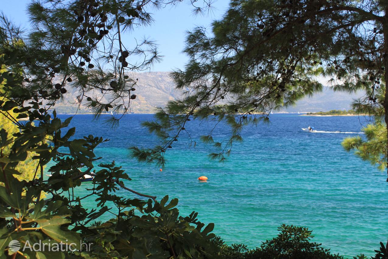 A-135-b - Private accommodation - Apartments by the sea Lumbarda, Korčula