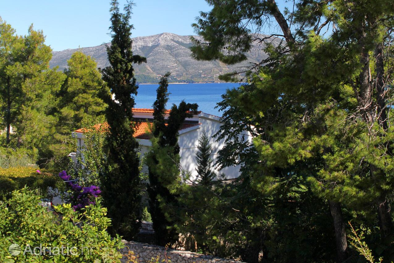 Property - Apartments by the sea Lumbarda, Korčula