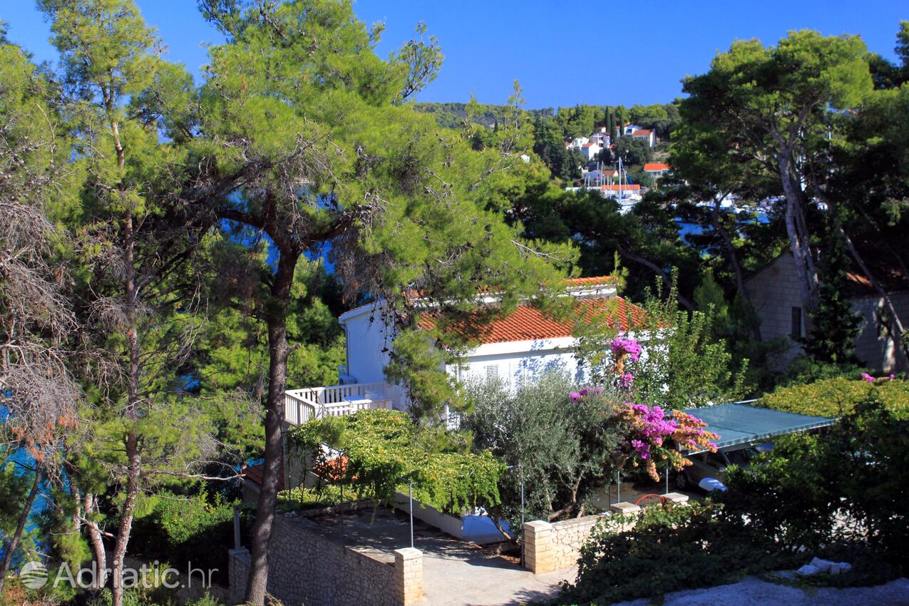 Property - Apartments by the sea Lumbarda, Korčula