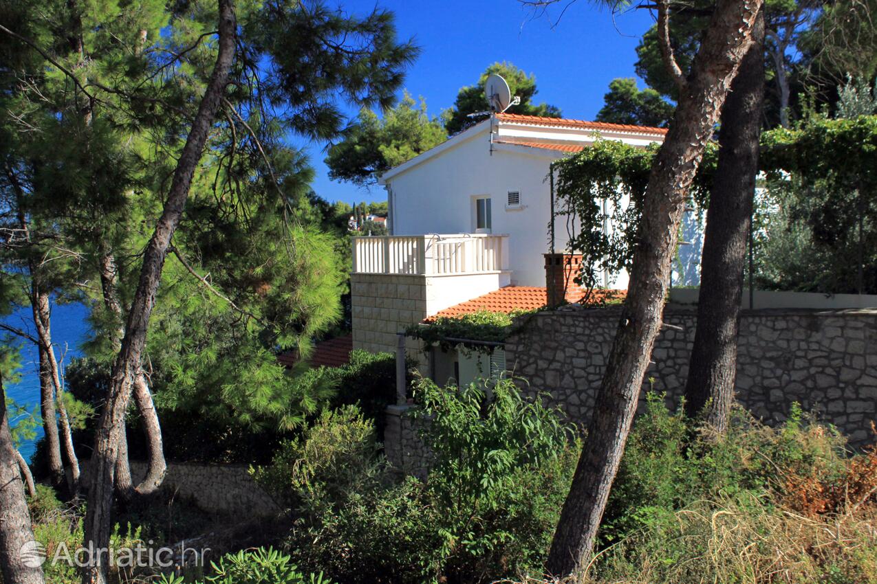 Property - Apartments by the sea Lumbarda, Korčula