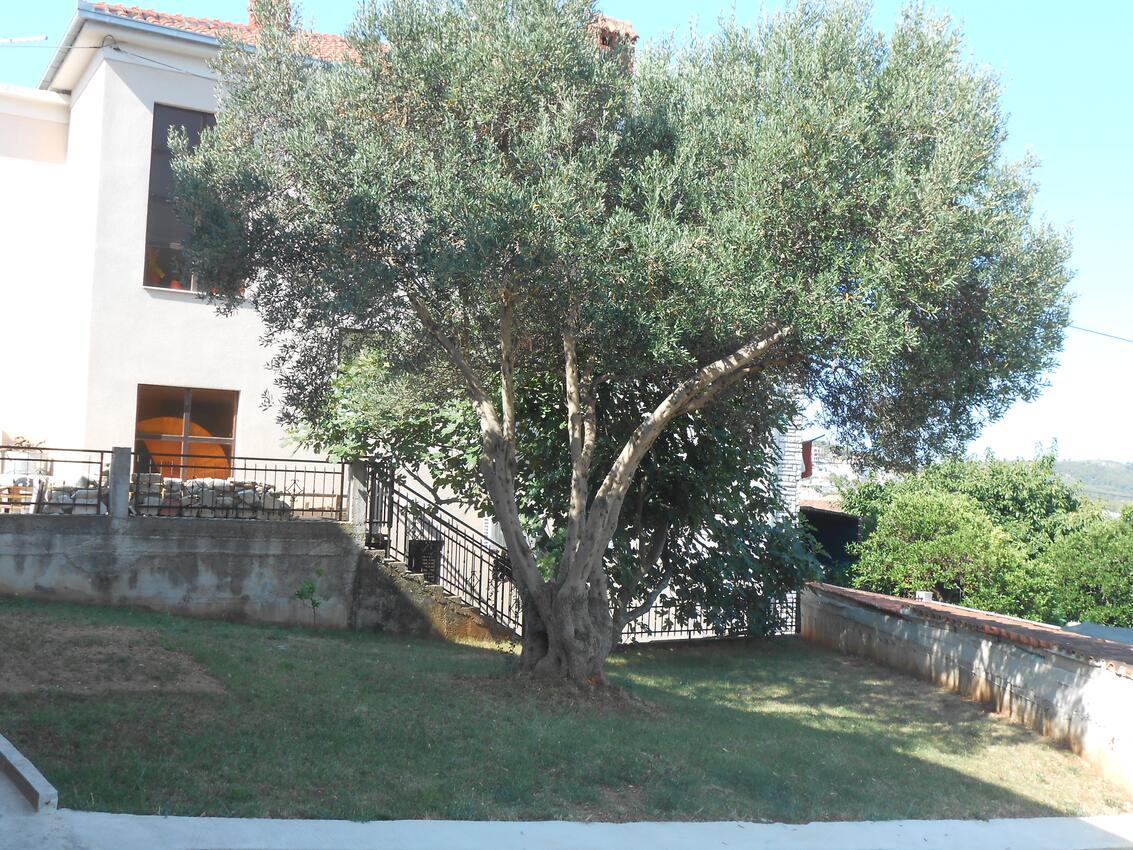 Giardino - Appartamenti con parcheggio Okrug Gornji, Bua - Čiovo