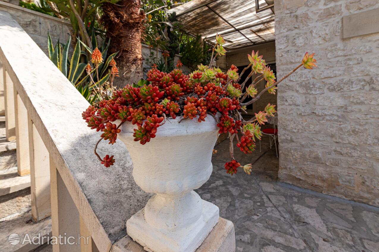Giardino - Casa vacanze accanto al mare Pucisca, Brazza - Brač