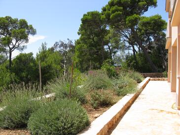 Apartmány s parkovištěm Sveta Nedilja, Hvar - 14086 Adriatic.hr