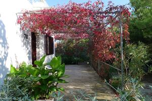 2-Zimmer-Ferienwohnung Sevid, Trogir (A-14337-a(