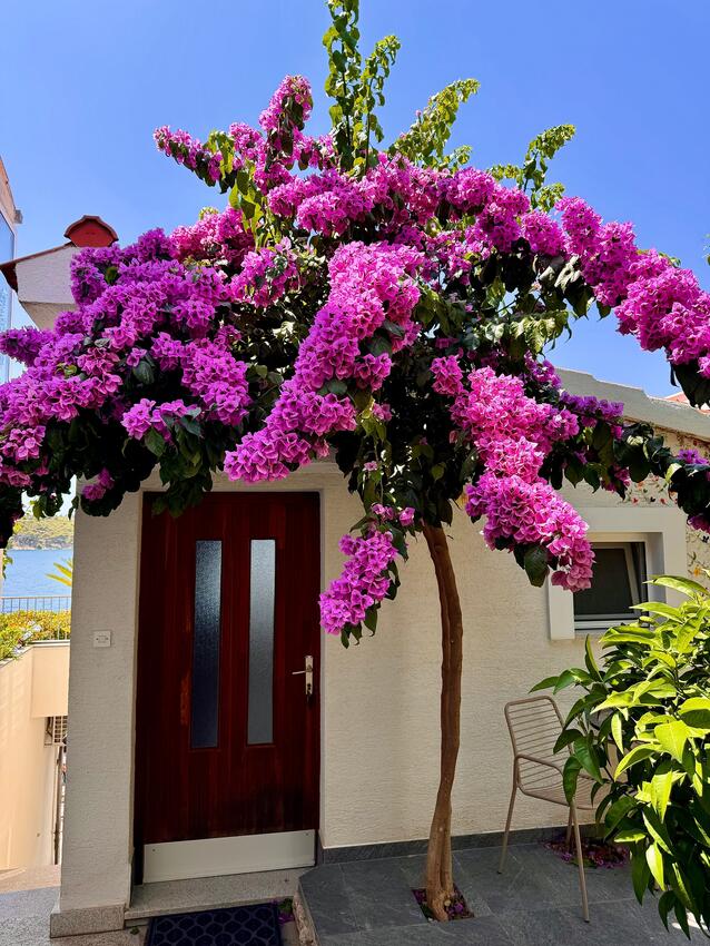 Apartments by the sea Tisno, Murter - 14346