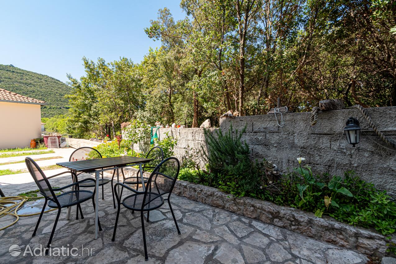 Courtyard - Apartments and rooms with parking space Mali Ston, Pelješac