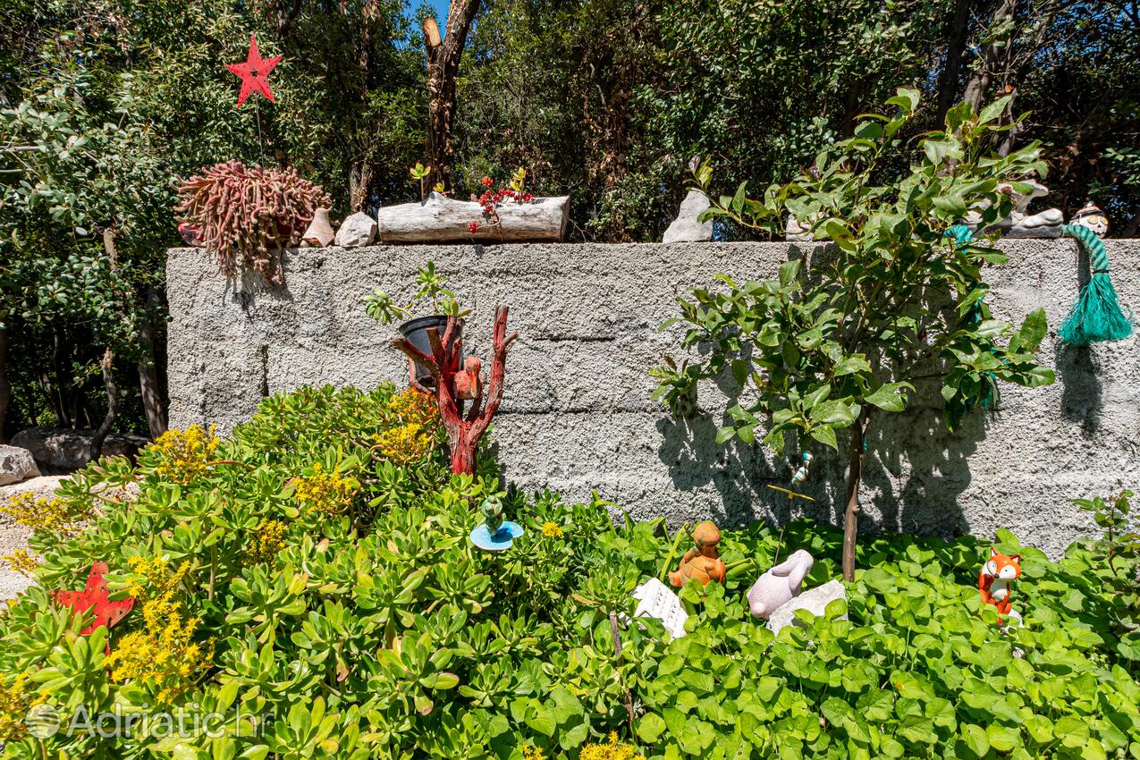 Courtyard - Apartments and rooms with parking space Mali Ston, Pelješac