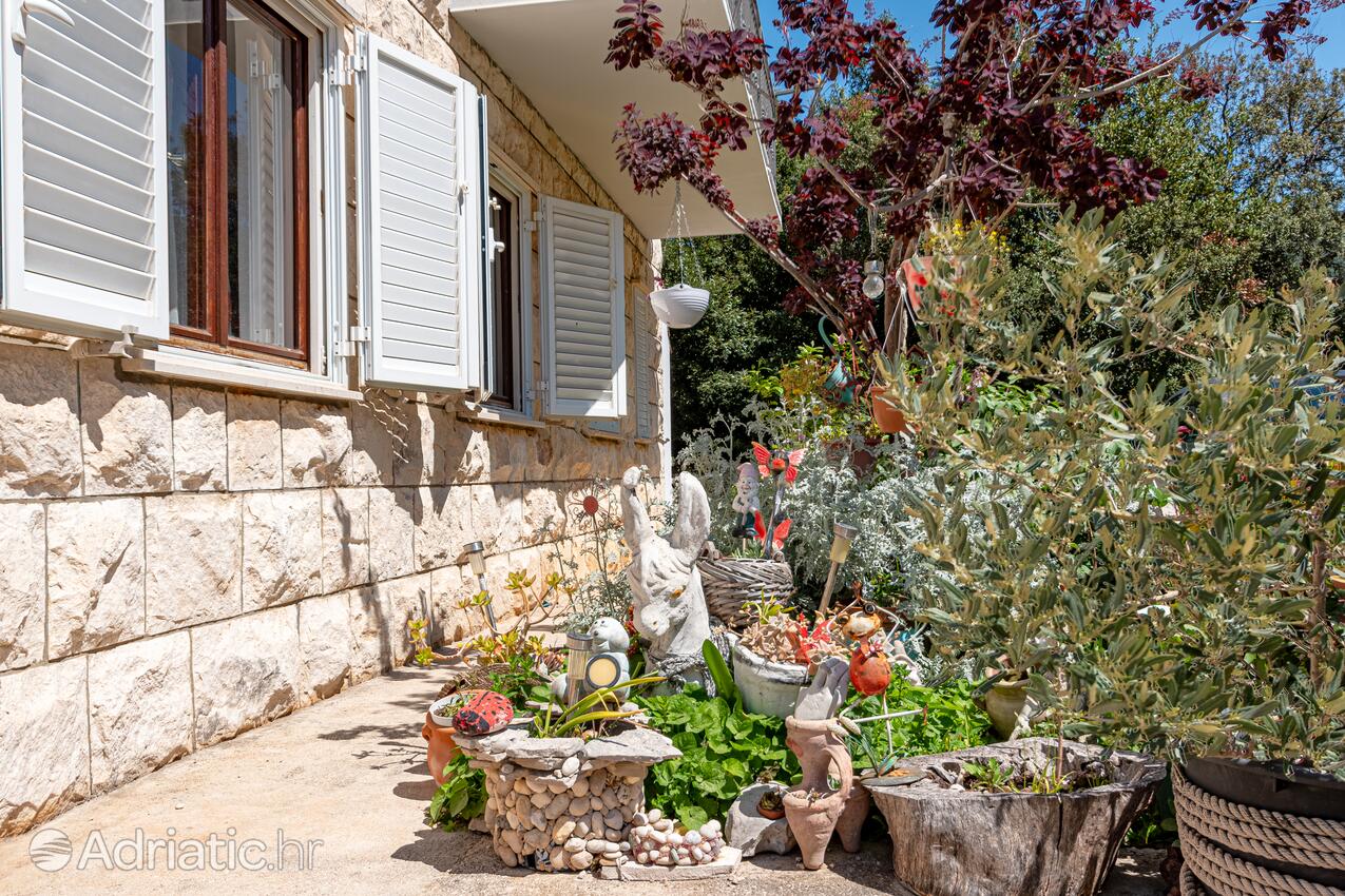 Courtyard - Apartments and rooms with parking space Mali Ston, Pelješac