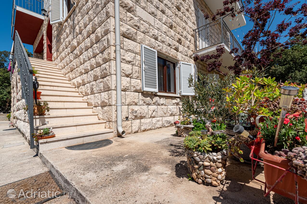 Courtyard - Apartments and rooms with parking space Mali Ston, Pelješac