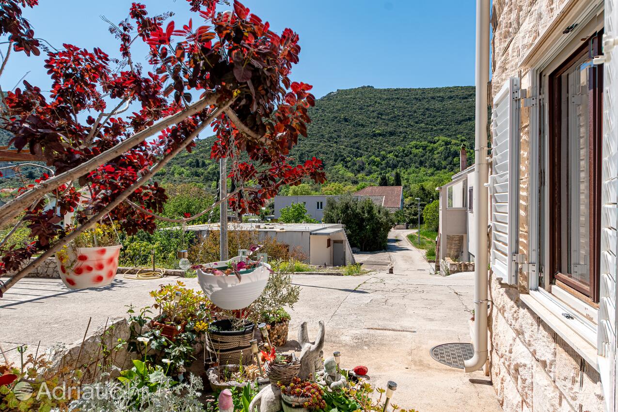 Courtyard - Apartments and rooms with parking space Mali Ston, Pelješac
