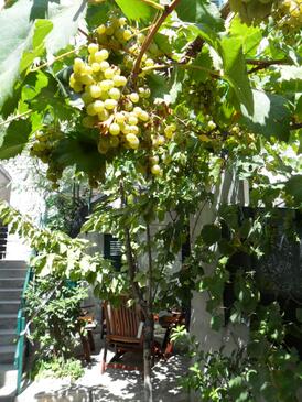 Appartements avec WiFi Split - 14534