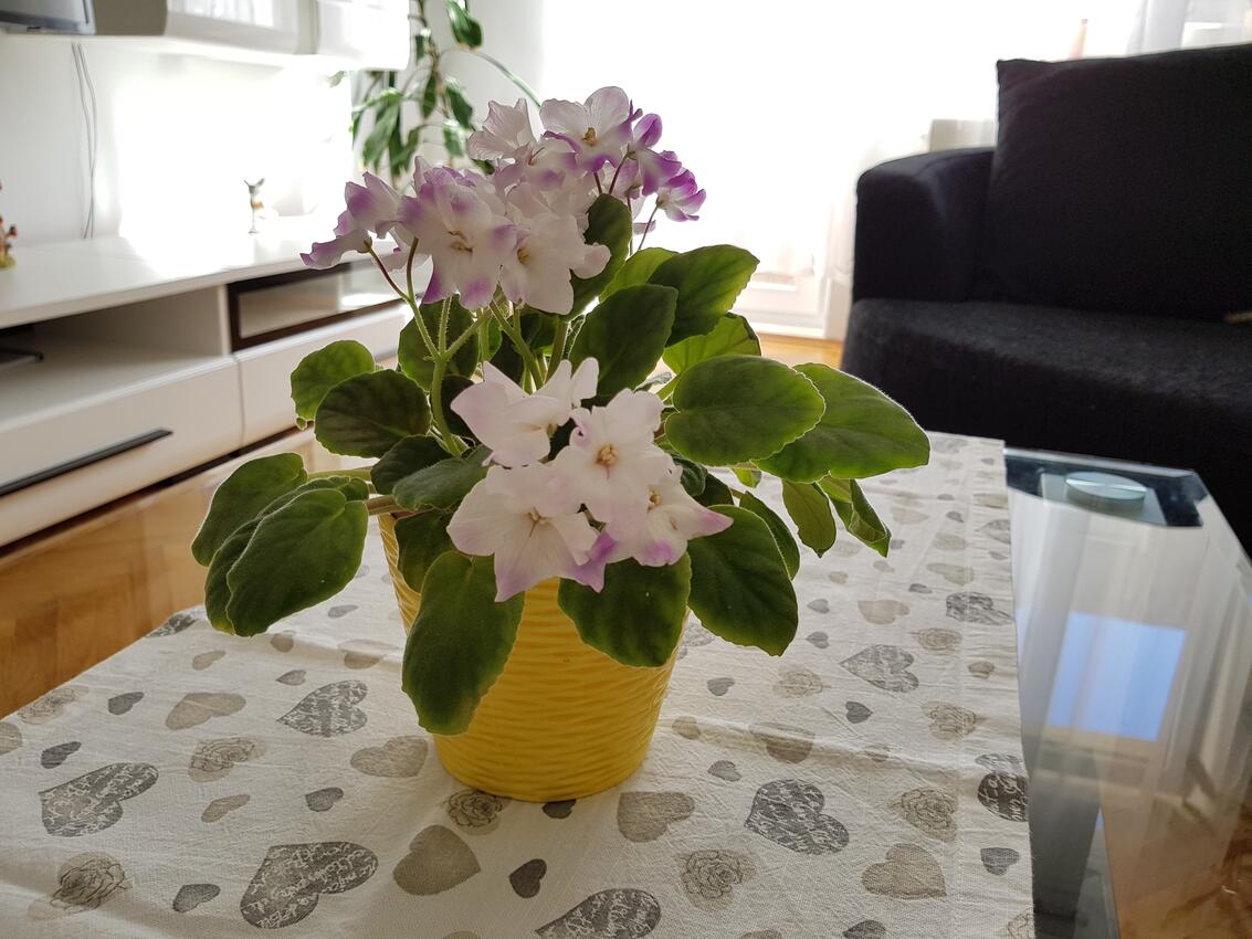 Apartment with balcony Omiš, Central Dalmatia