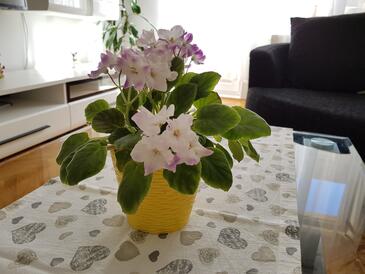 Apartment with balcony Omiš, Central Dalmatia