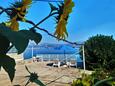 Apartmanok és szobák Lumbarda (Korčula) - 14647