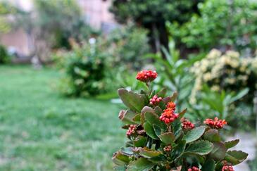 Apartments by the sea Pakoštane, Biograd - 14658