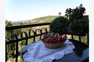 Etværelses lejlighed Pasman (A-14788-a(