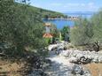 Seaside holiday house Cove Bristva, Korčula - 14892