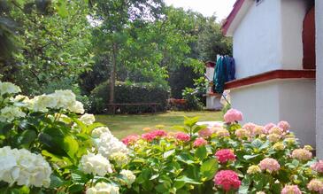 Apartments with terrace Njivice, Kvarner