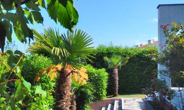 Apartments with terrace Njivice, Kvarner