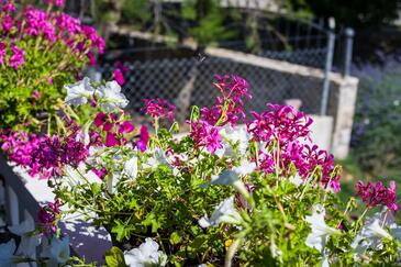 One bedroom apartment Zaton One bedroom apartment Zaton, Zadar (A-15000-b(