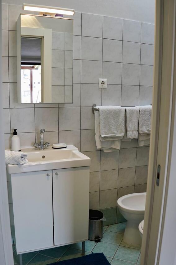 AS-15084-a - Private accommodation - Apartments with WiFi Rovinj