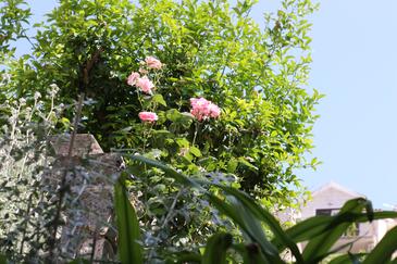 Apartamentos com terraço Jelsa, Central Dalmatia