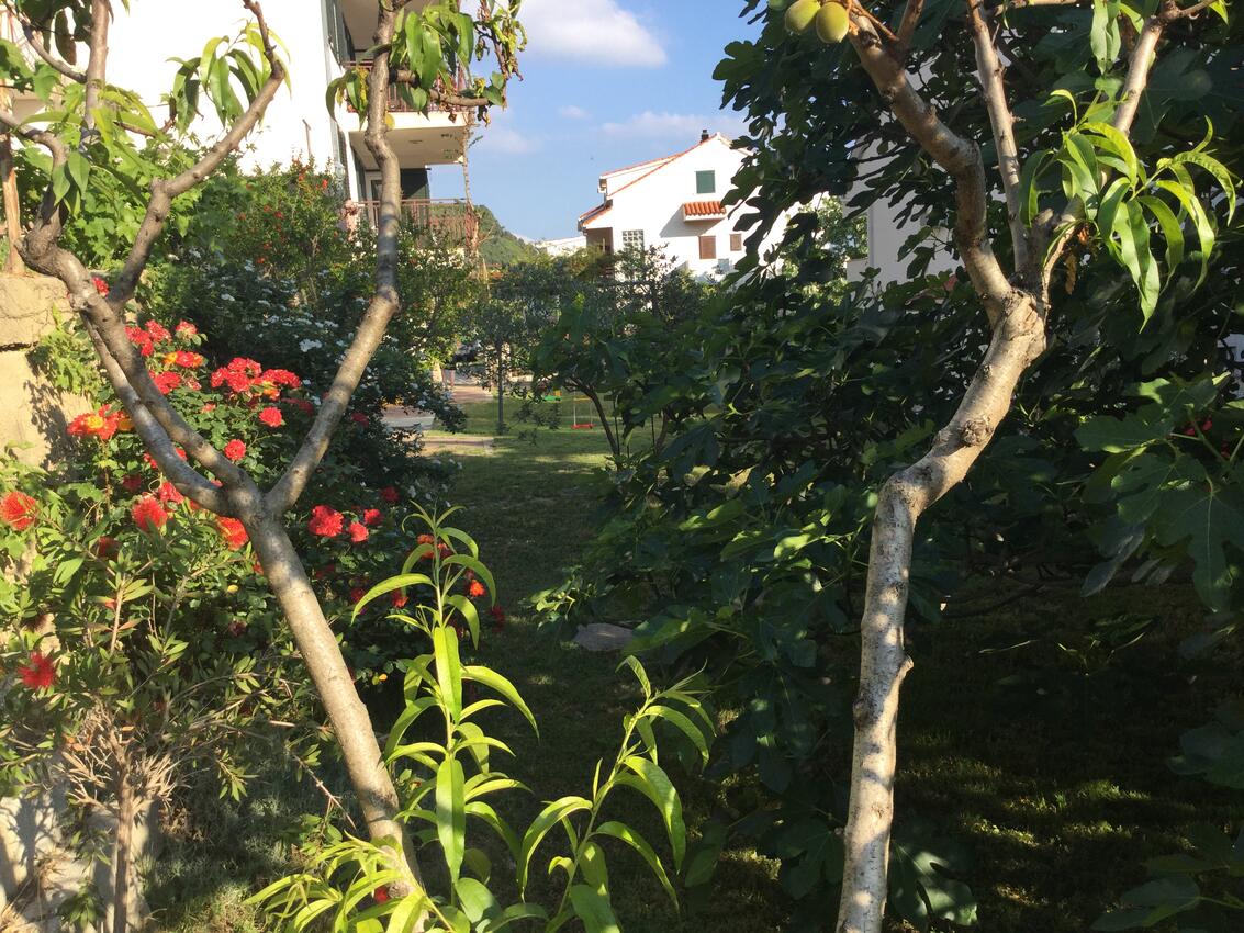 Podwórko - Apartamenty nad morzem Podstrana, Split