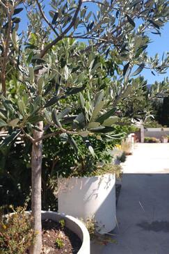 Apartmány u moře Brist, Makarská - Makarska - 15443