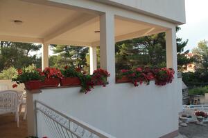 Apartments with parking space Brodarica, Šibenik - 15708
