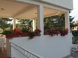 Apartmani Brodarica (Šibenik) - 15708