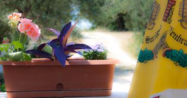 Apartmány s parkovištěm Podaca, Makarská - Makarska - 15748